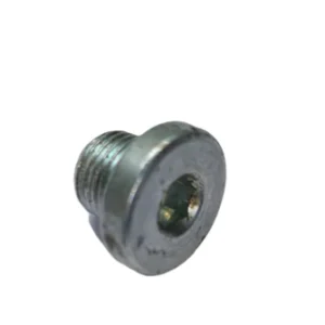 Plug Bolt (L-12)